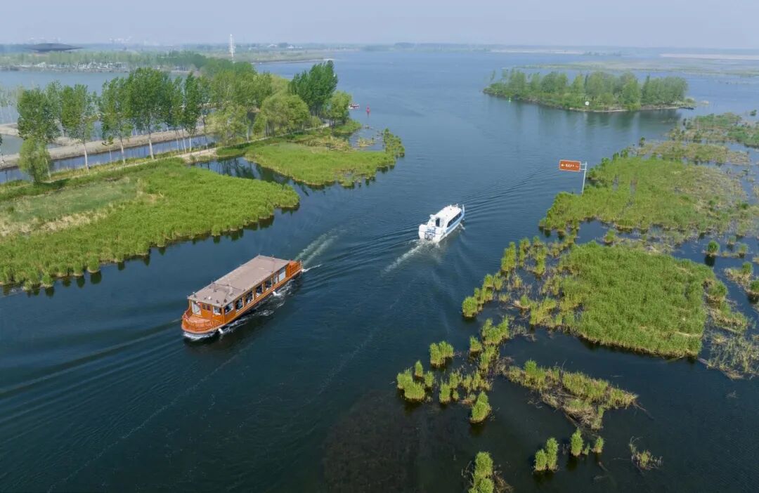 2023中关村论坛丨智能 绿色 创新 数字雄安拔节生长